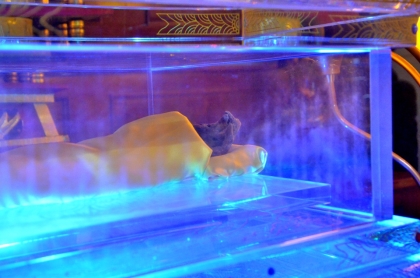 Chuyện về 'Cánh tay bất hoại' của sư Kiệm ở Hà Tĩnh